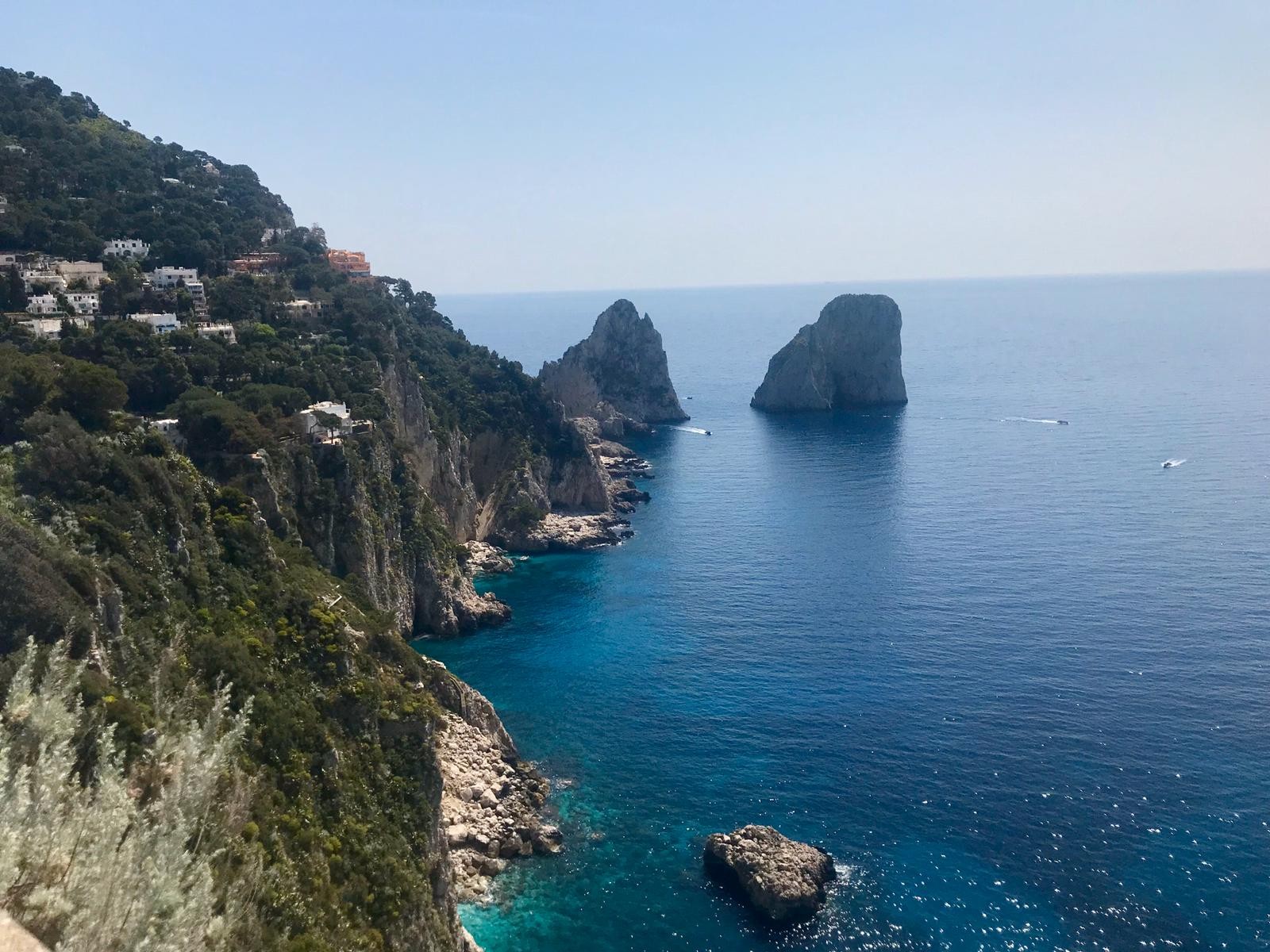 CAPRI
