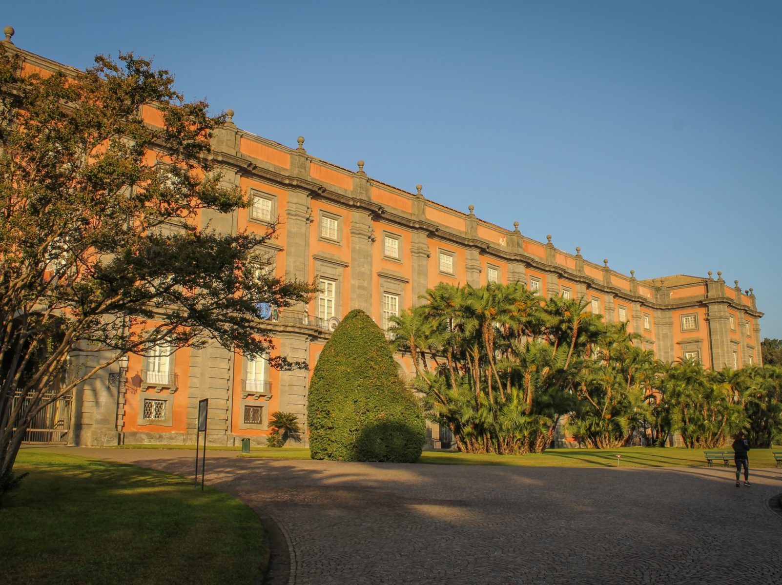 MUSEO DI CAPODIMONTE